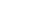 WordPress logo